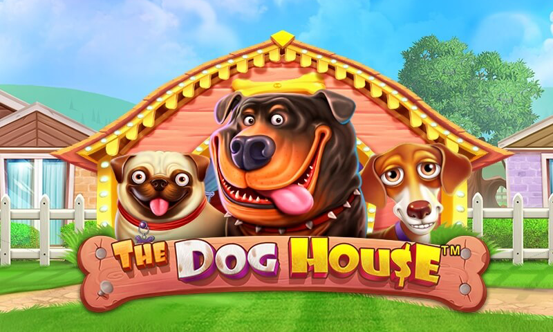 The Dog House